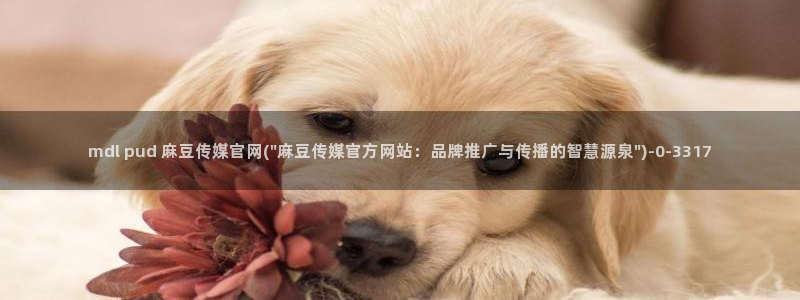 麻豆关键词库：mdl pud 麻豆传媒官网(\