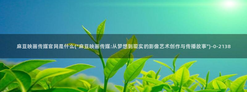 麻豆视频下载：麻豆映画传媒官网是什么(\
