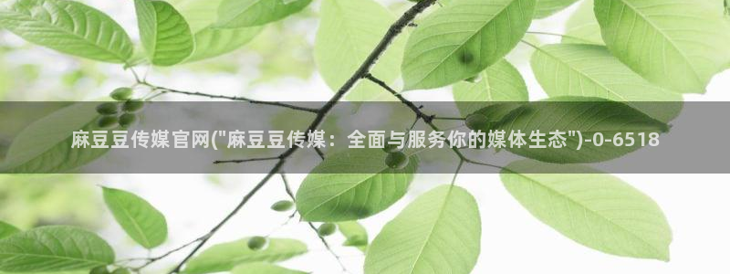 麻豆视频泛目录词