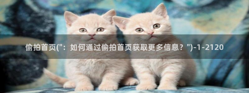 小说区图片区偷拍区