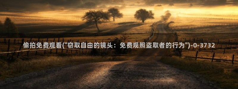 偷窥一区一女士三角内裤蕾丝