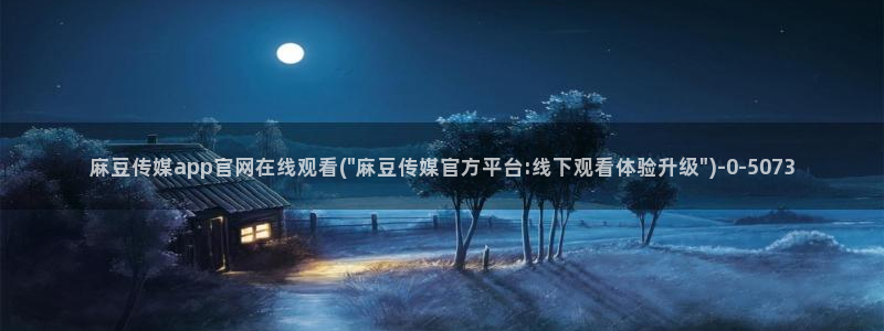 麻豆视频指南文案