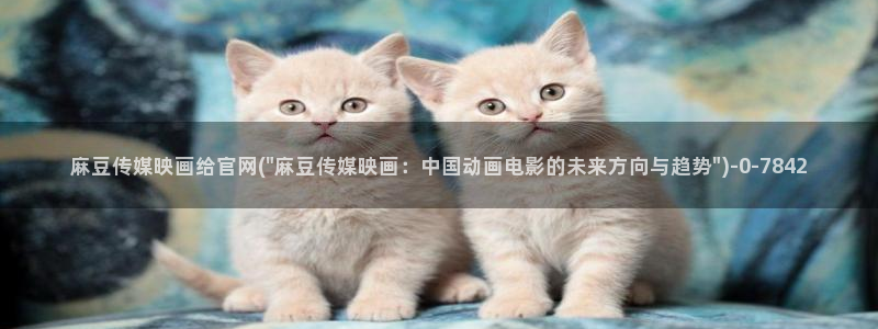 麻豆视频网站