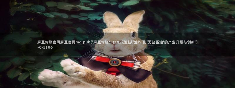 麻豆资源导航