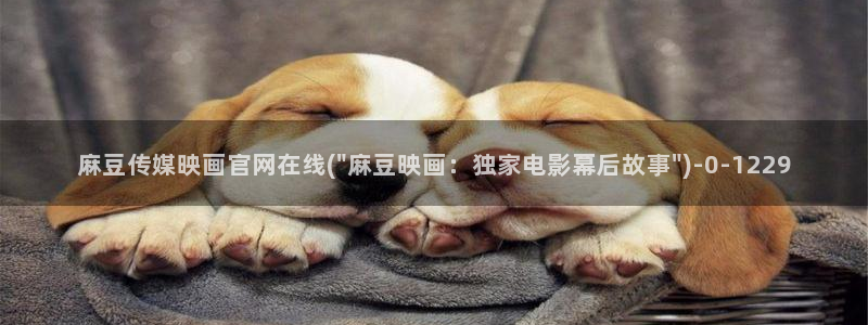 麻豆视频描述规则