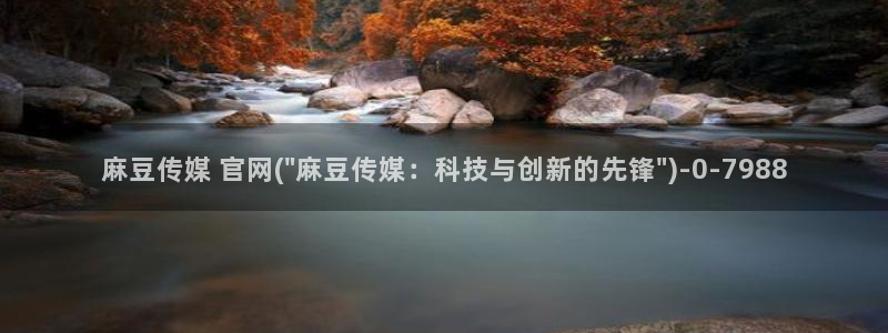 麻豆国产精选