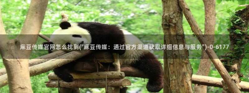 麻豆百度收录