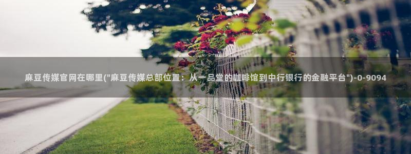 麻豆描述库
