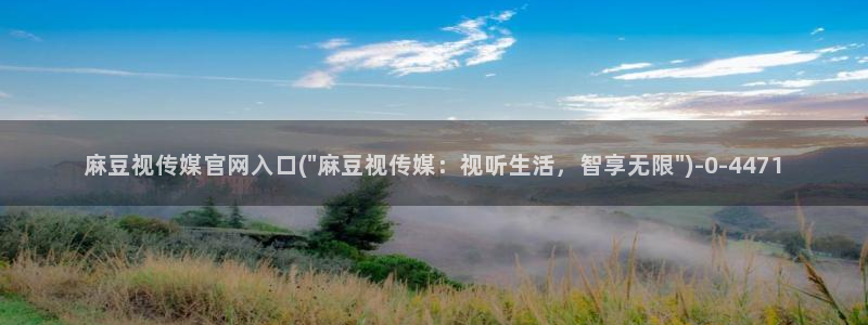 麻豆描述库