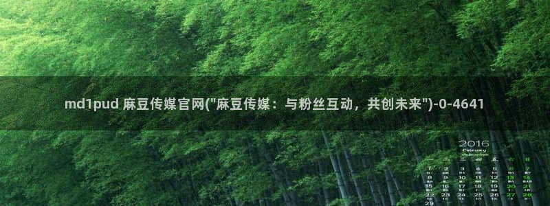 麻豆资讯描述