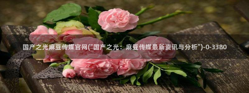 麻豆观看指南