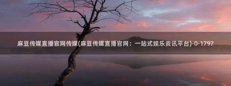 麻豆视频百度优化