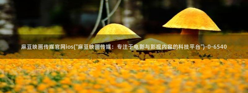 麻豆入门指南