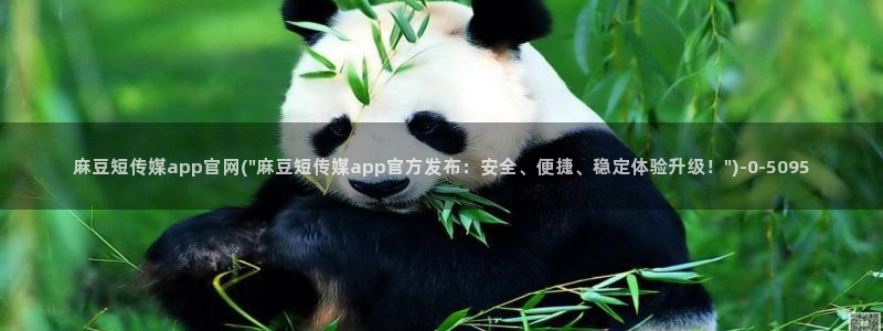麻豆精选页