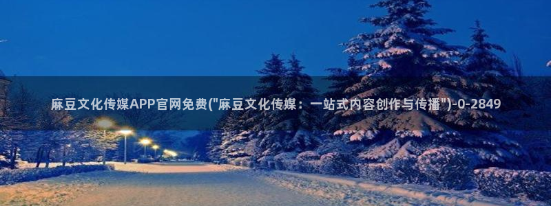 麻豆视频栏目文案