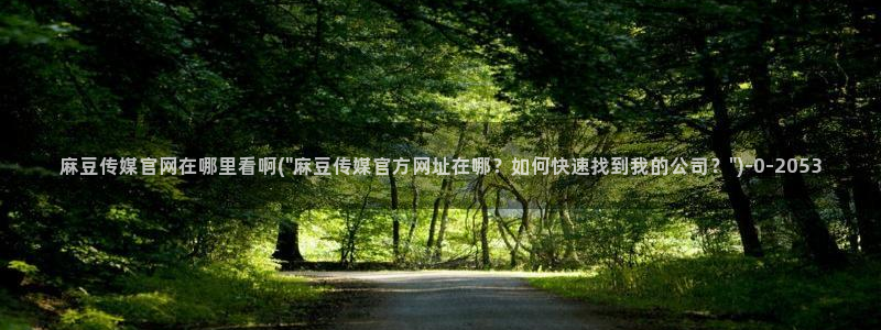 麻豆视频联系页面