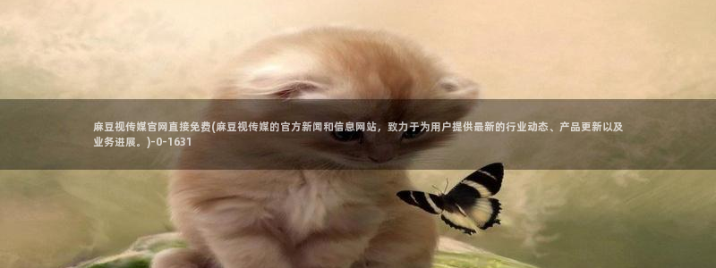 麻豆视频资源站