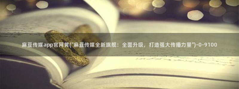 麻豆描述库