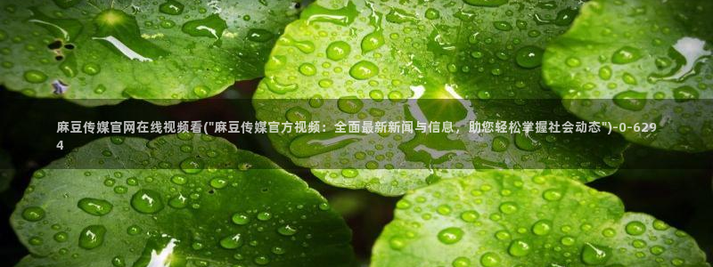 麻豆采集模板