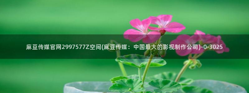麻豆视频联系页面