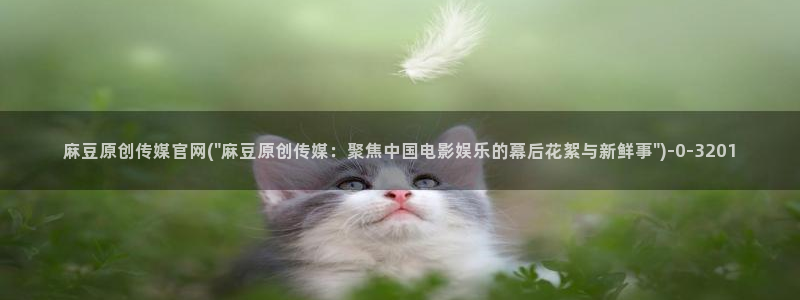 麻豆传媒