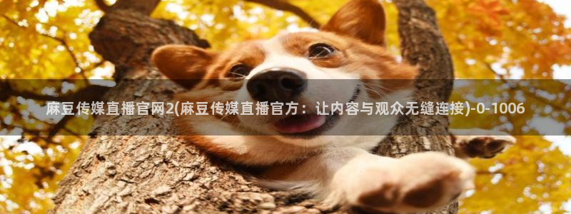 麻豆视频自动更新