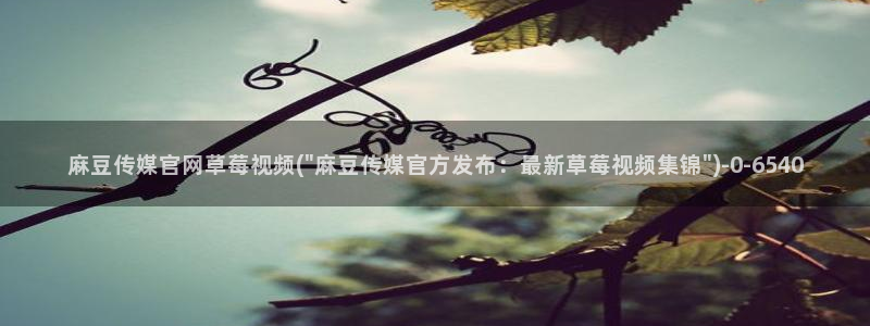 麻豆新人演员