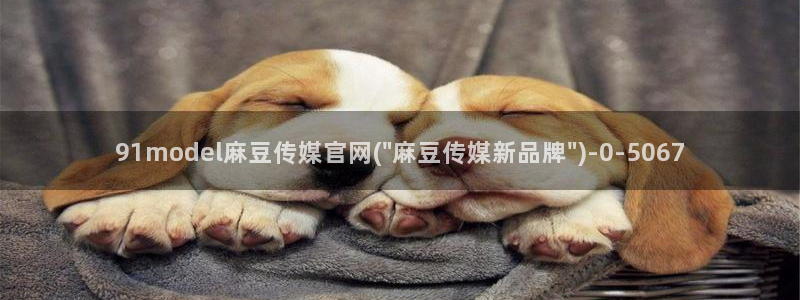 麻豆视频详情文案