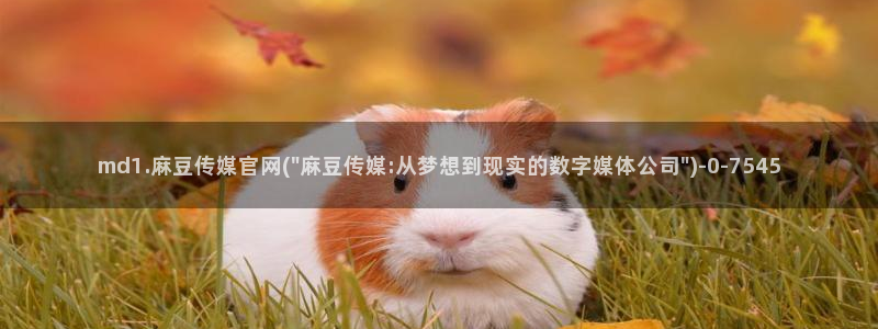 麻豆视频评分