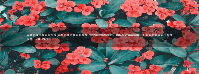 麻豆站点地图：麻豆影像传媒官网在线(麻豆影像传媒官网在线-专业影视媒体平