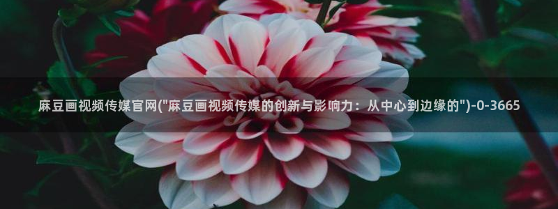 麻豆传媒精选