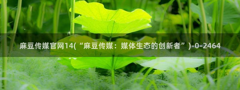 麻豆指南页