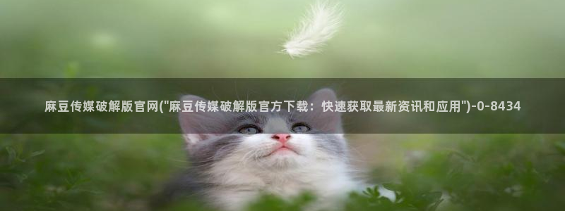 麻豆视频资料文案