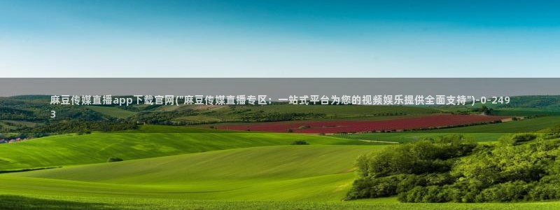 麻豆视频版权说明