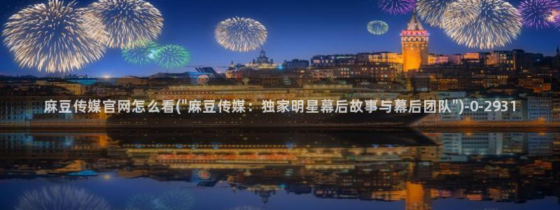 麻豆资讯描述