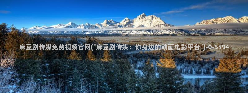 麻豆榜单描述