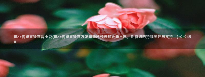 麻豆视频关于我们